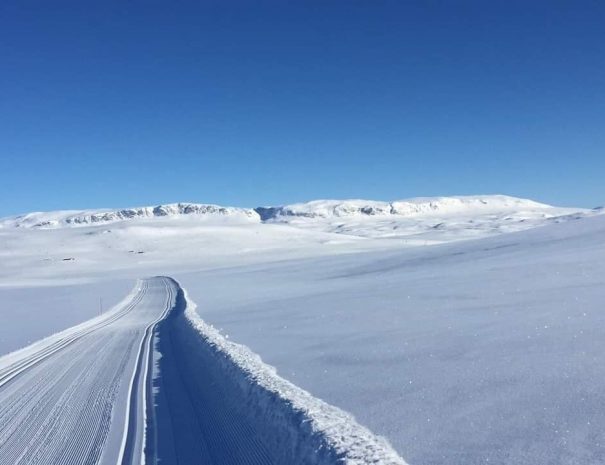 Nypreparerte skispor med Reineskarvet i bakgrunn. En stille og blå vinterferie.