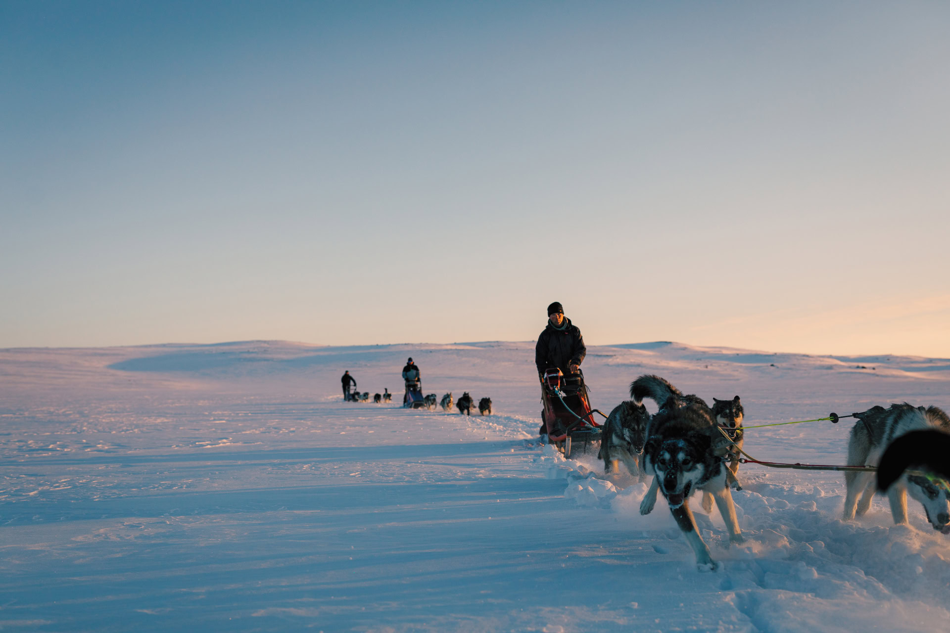 Hundekjøring på høyfjellet med Geilo Husky