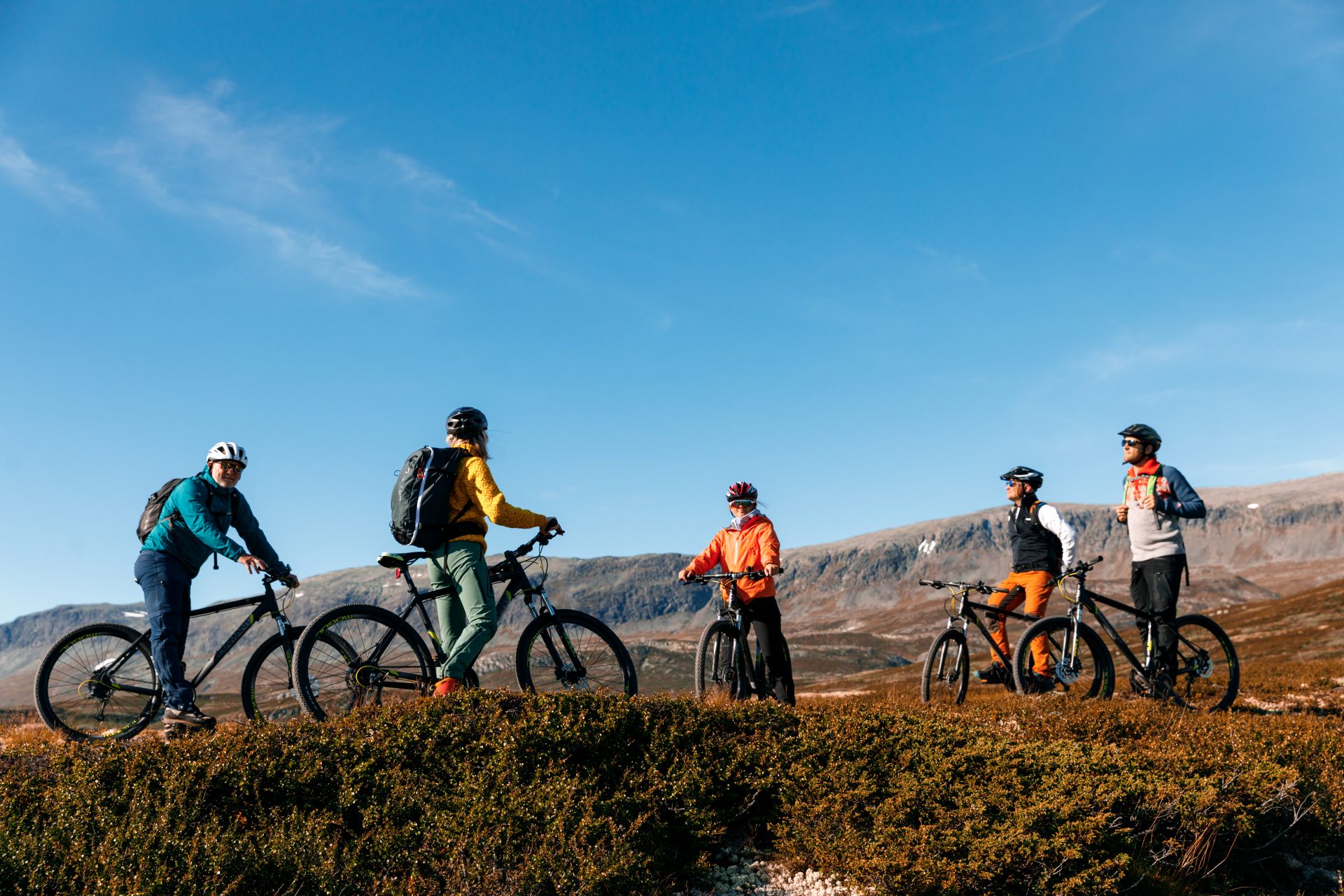 Gruppe på sykkeltur med fjell i bakgrunn. Høstfarger og klar blå himmel.
