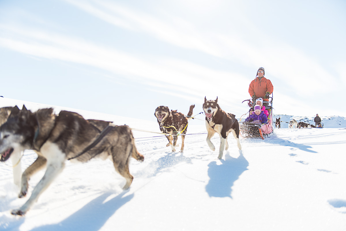 Hundespann i fullt driv med mor og datter i sleden og erfaren sledefører bak som tar de innover fjellheimen..